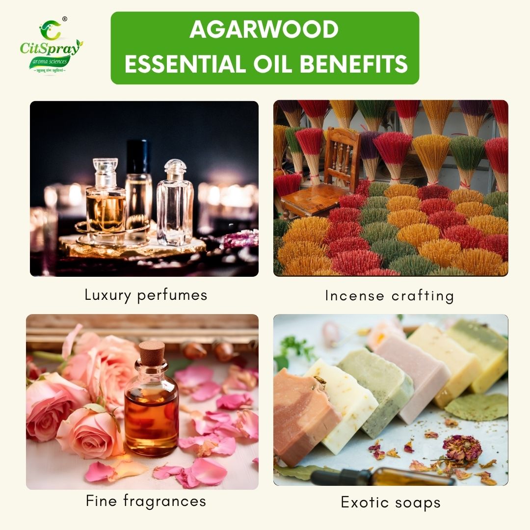 Agarwood Essential Oil – Grounding