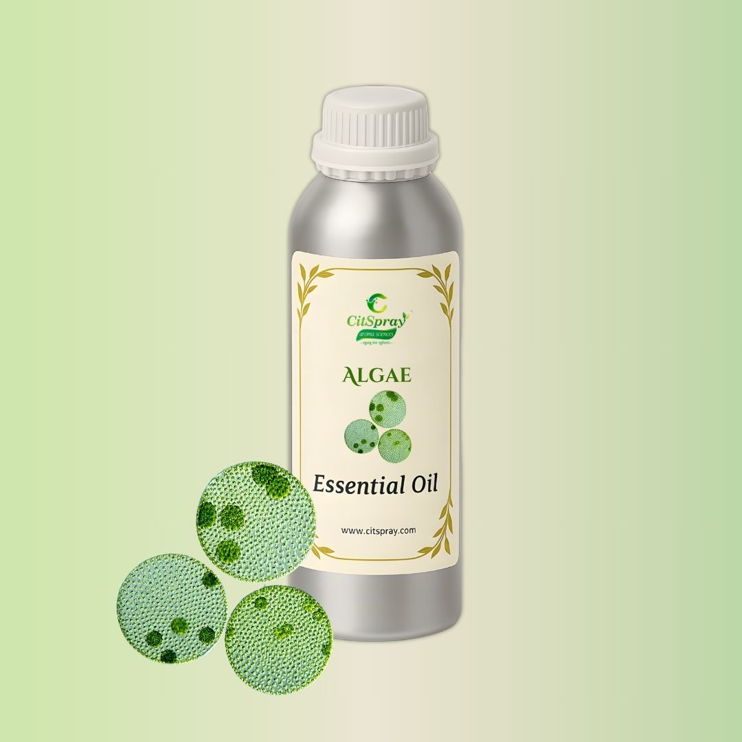 Algae Essential Oil by CitSpray in aluminium bottle.