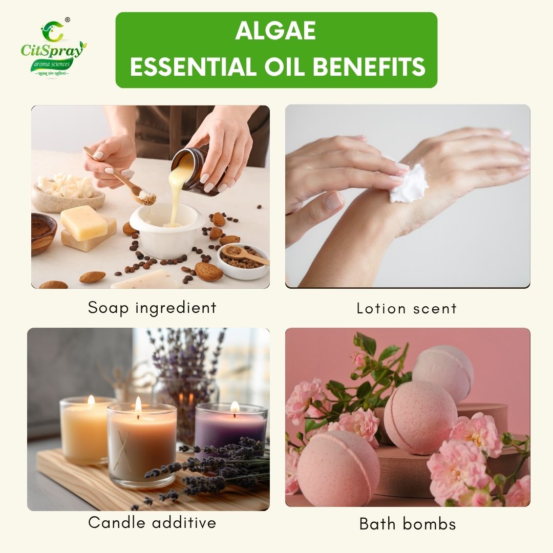 Algae Essential Oil – Detoxifying