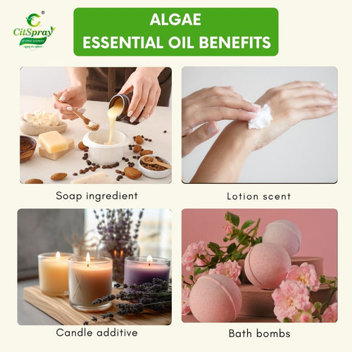 Algae Essential Oil – Detoxifying