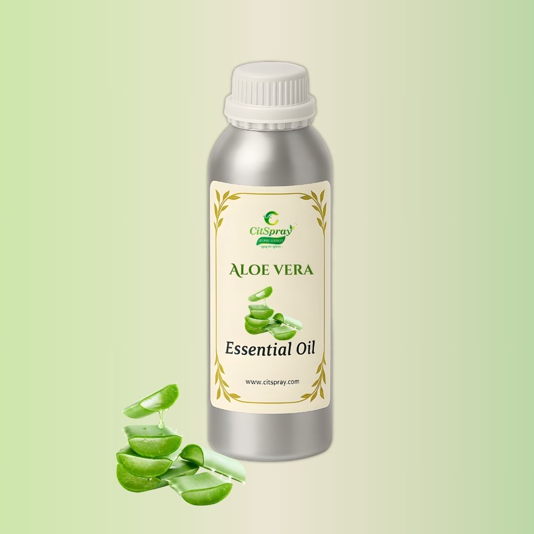 Aloe Vera Essential Oil in CitSpray aluminum bottle. Natural aloe vera extract.