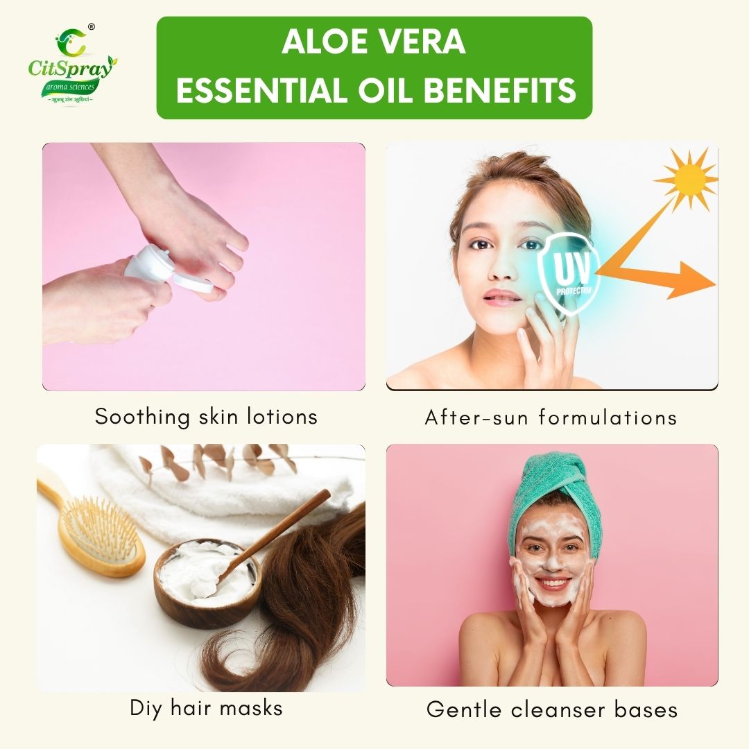 Aloe vera Essential Oil – Skin Soothing