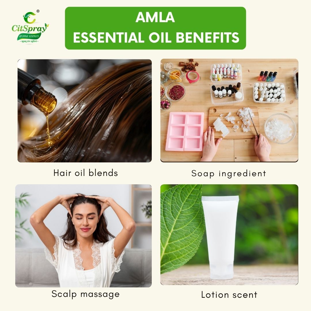 Amla Essential Oil – Hair Growth