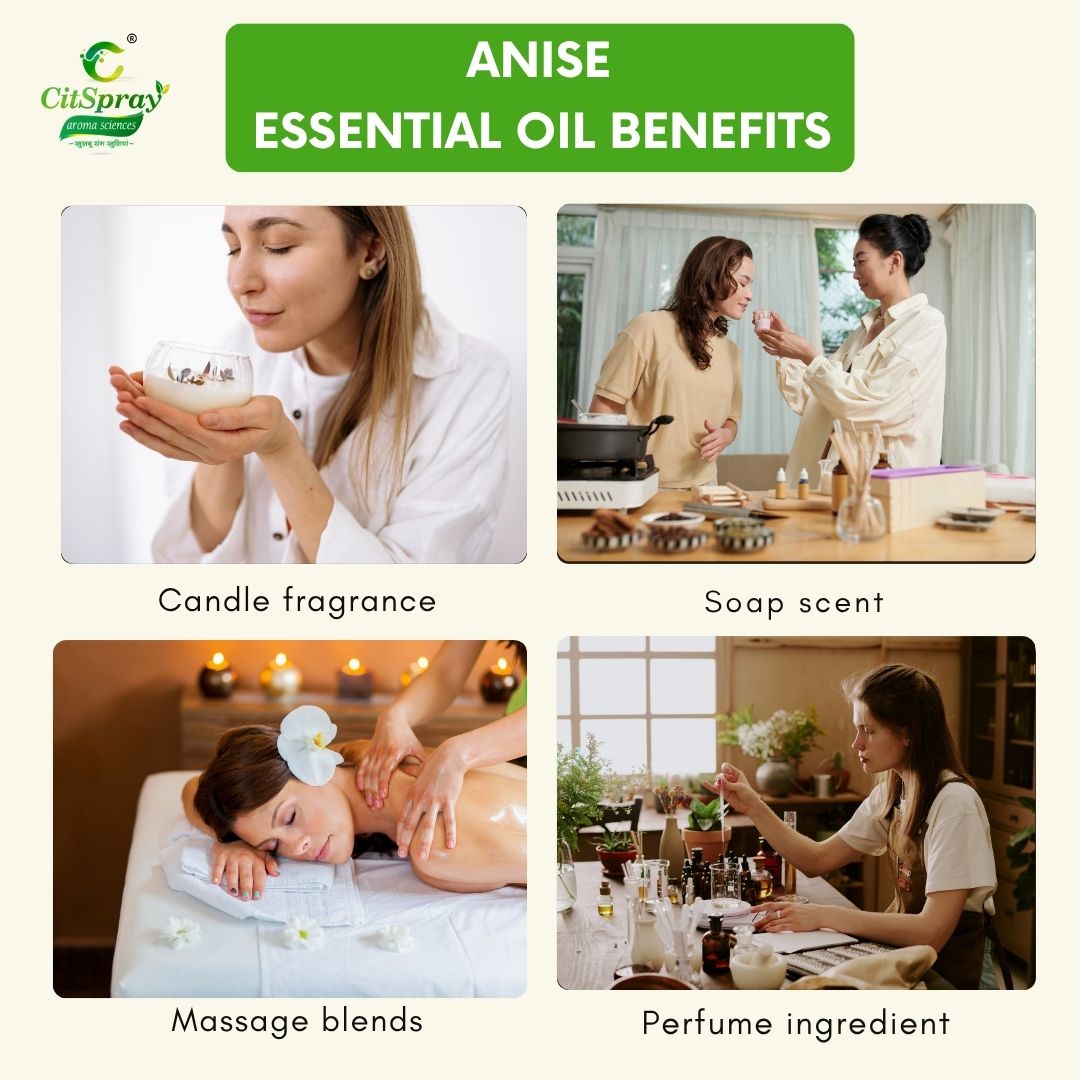 Anise Essential Oil – Digestive Support