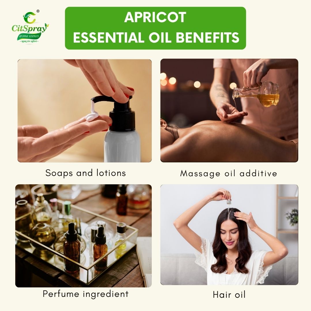 Apricot Essential Oil – Radiant Skin
