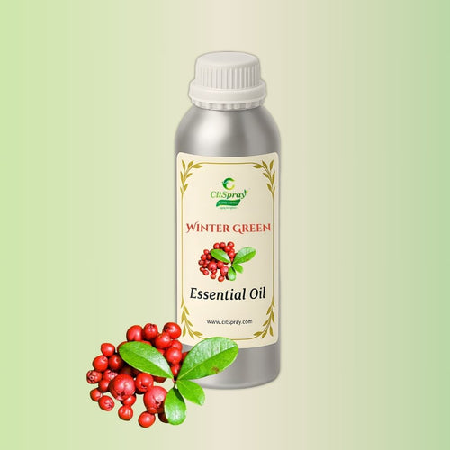 Winter Green Essential Oil in CitSpray aluminium bottle. Botanical oil product.