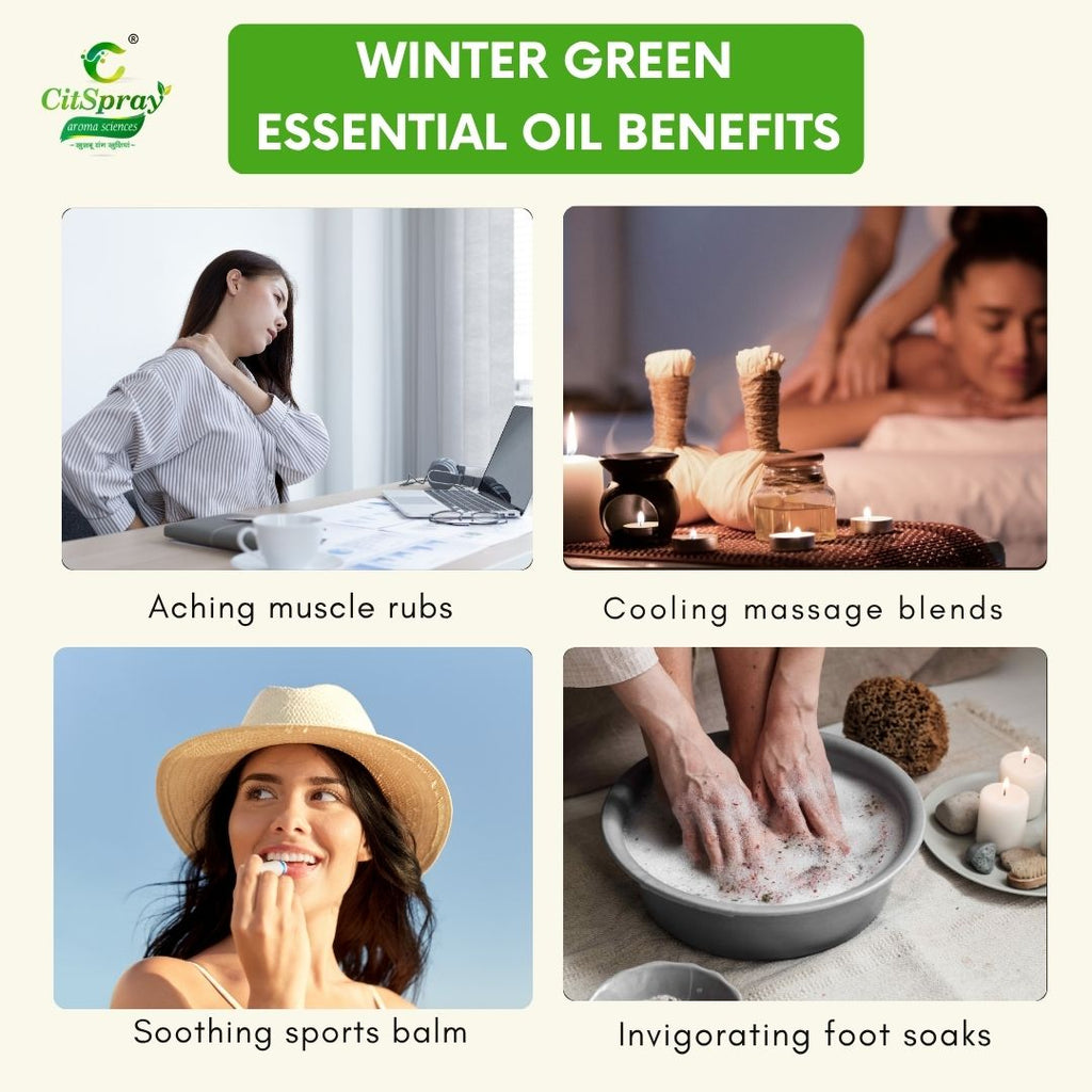 Winter Green Essential Oil – Muscle Relief