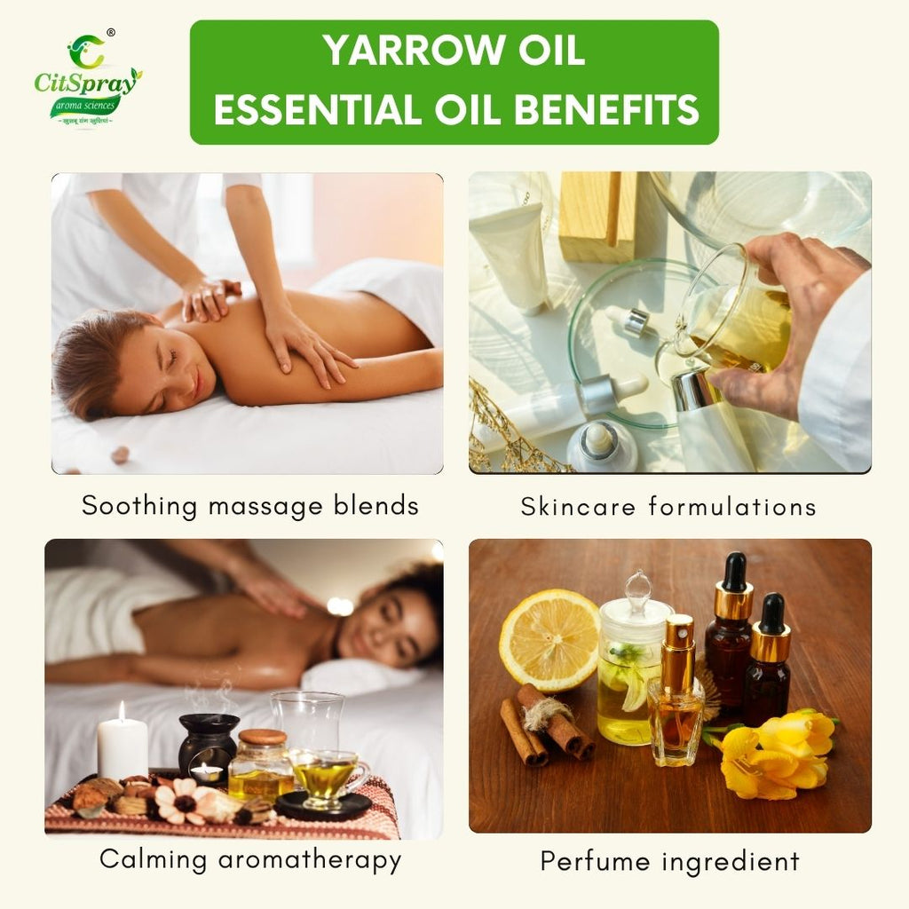 Yarrow Essential Oil – Skin Healing