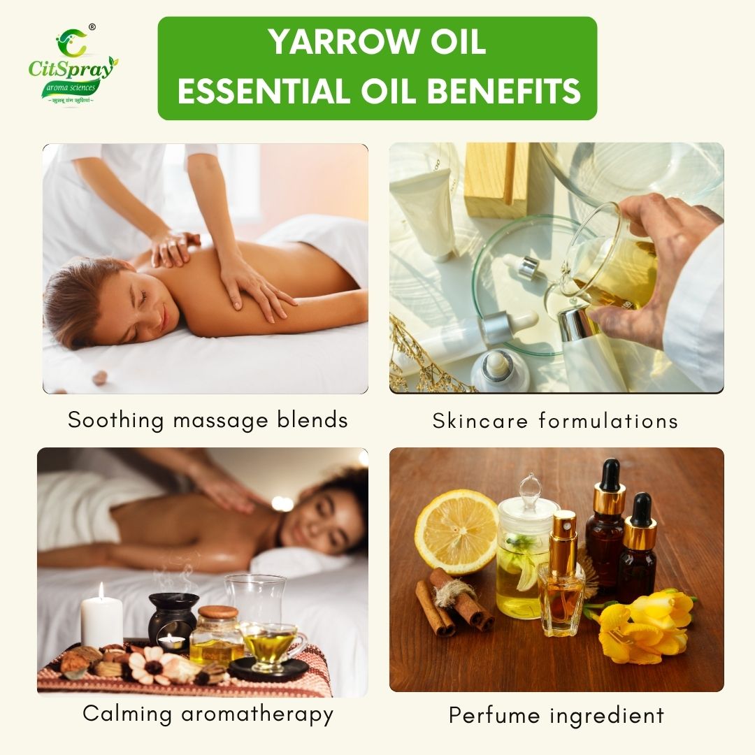 Yarrow Essential Oil – Skin Healing